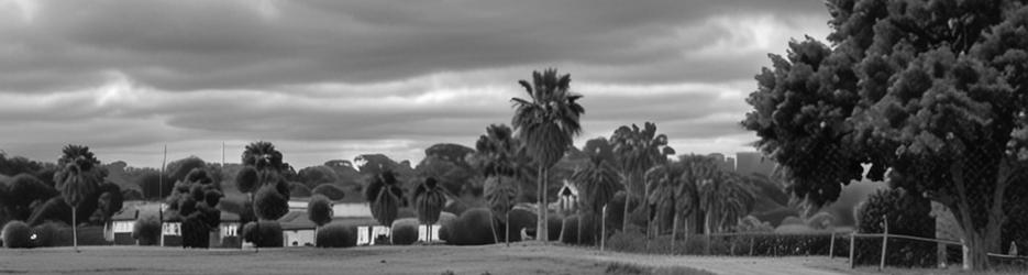 Pinnaroo Wetlands - Localista