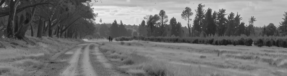 Tahbilk Wetlands And Wildlife Reserve - Localista