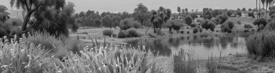 Botanic Ridge Wetlands - Localista