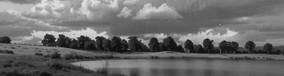 Minyip Wetlands - Localista