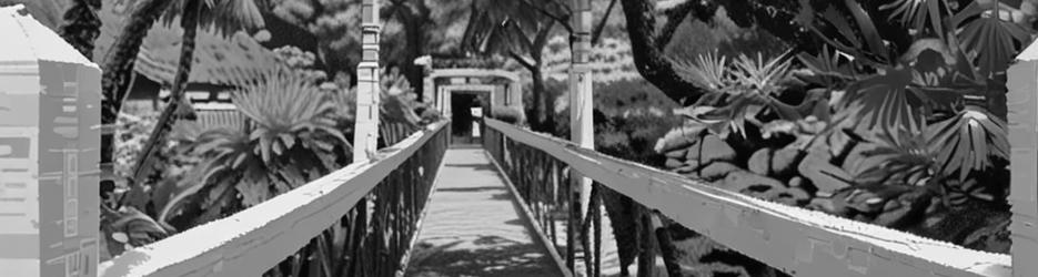 Parsley Bay Suspension Bridge - Localista