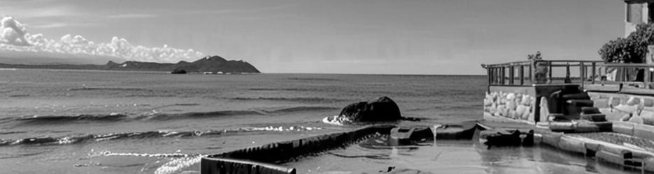 Terrigal Rock Pool - Localista