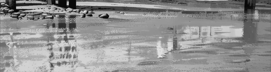 The Beach At Crayfish Creek - Localista