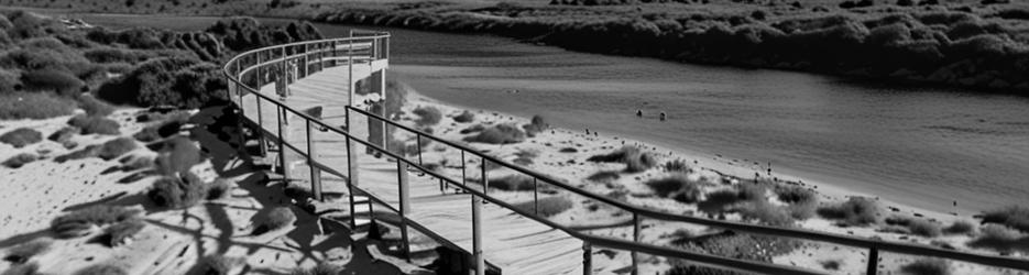 Arno Bay Estuary Boardwalk - Localista