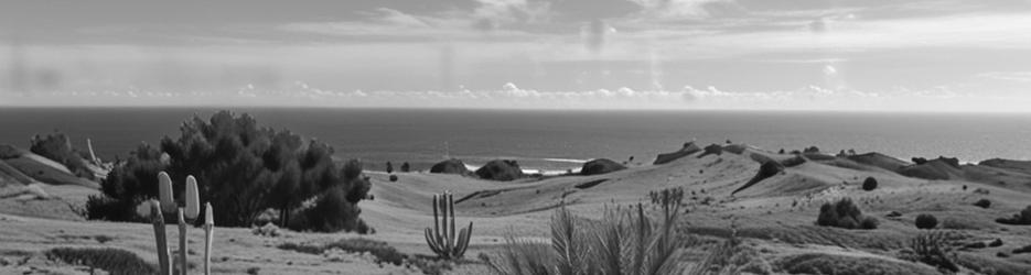 Carrickalinga Lookout - Localista