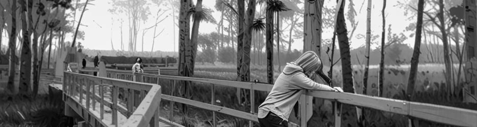 Reed Beds Bird Hide Boardwalk - Localista