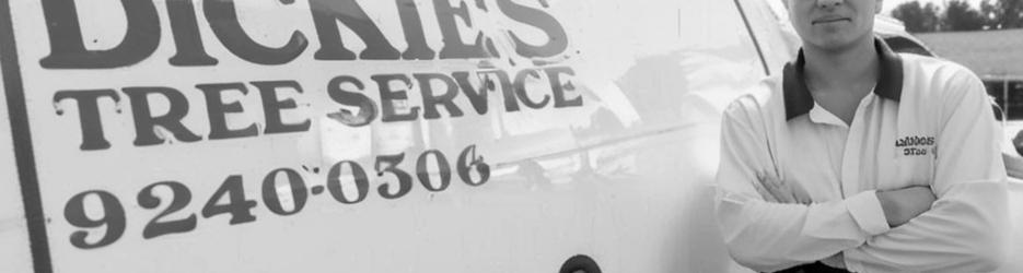 Dickies Tree Service - Localista