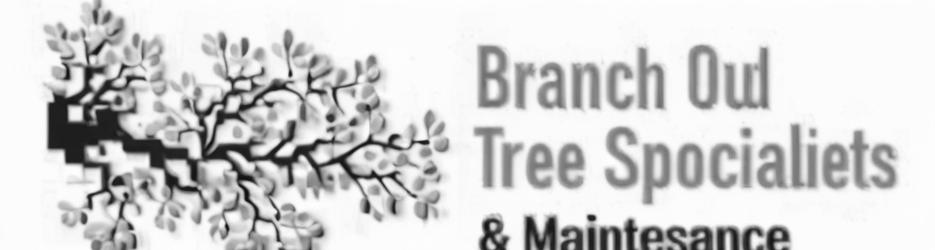 Branch Out Tree Specialist - Localista