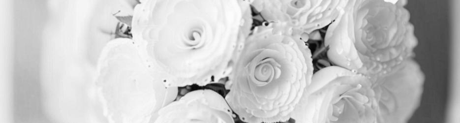 The Original Wedding Company - Localista