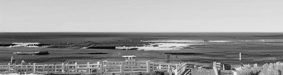 Surfing at Surfers Point - Localista