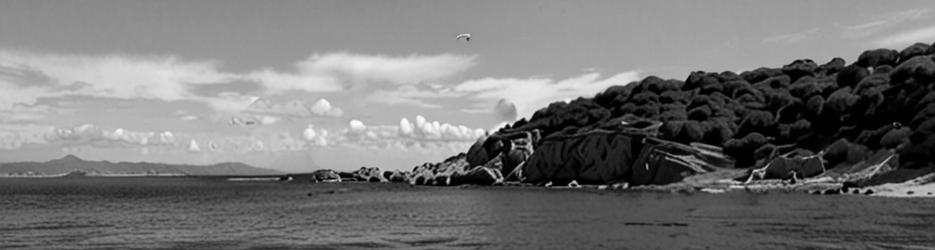 Fishing At Frenchman Bay Beach - Localista