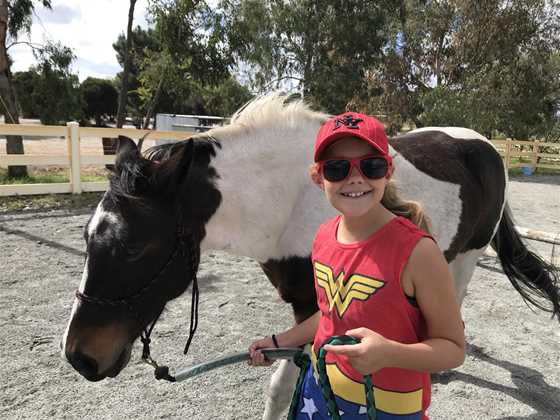 Equine Assisted Learning - Wanneroo