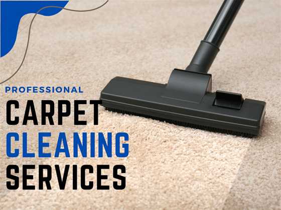 Same Day Carpet Cleaning Berwick