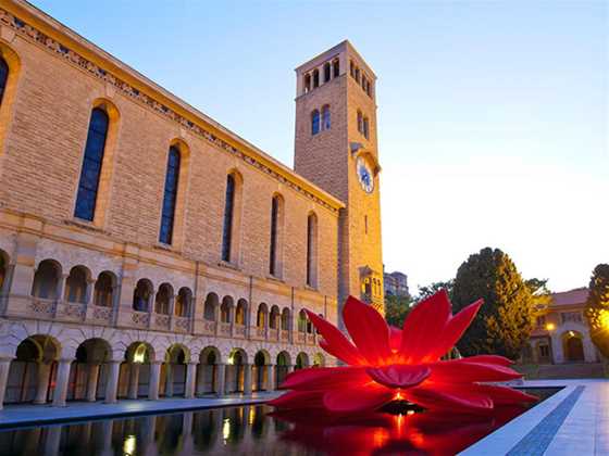 The University Of Western Australia