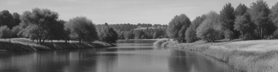 Bombala parks - Localista