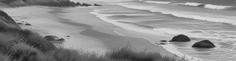 Narooma parks - Localista