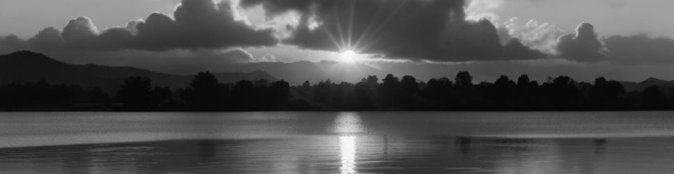 Lake Illawarra parks - Localista