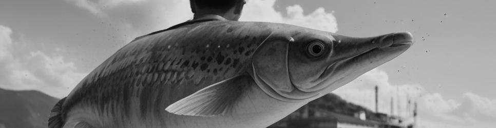 Groote Eylandt fishing - Localista