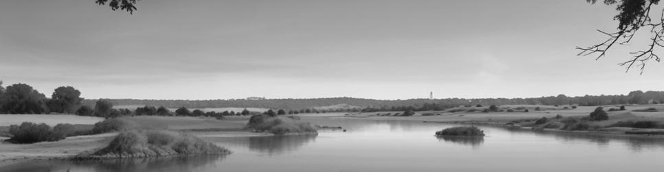 Moss Vale wineries making pinot gris wines - Localista