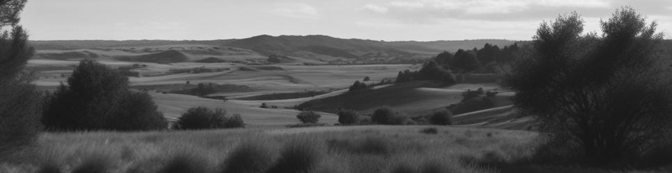 Gowrie Little Plain wineries making merlot wines - Localista