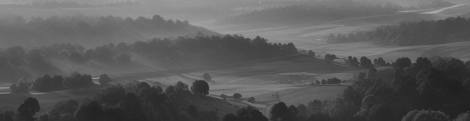 Berri Bamera wineries making cabernet wines - Localista