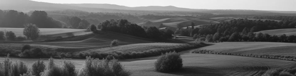 Eden Valley wineries making merlot wines - Localista