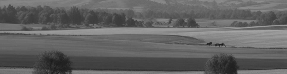 Lyndoch wineries making fortified wines - Localista