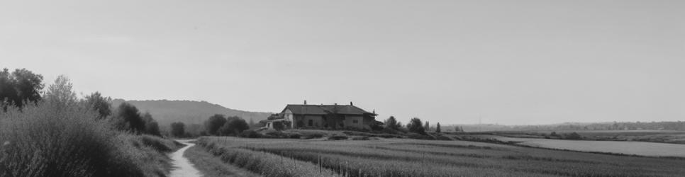 Tanunda wineries making rosé wines - Localista