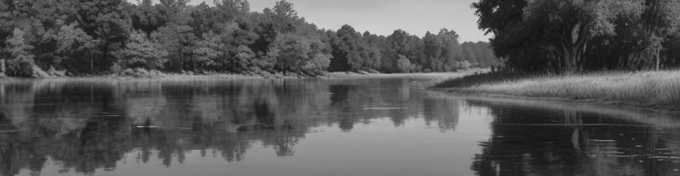 Yarramundi parks - Localista