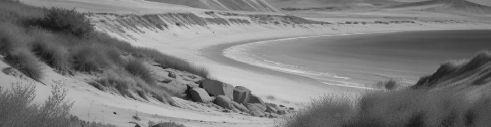 Maslin Beach wineries making shiraz wines - Localista