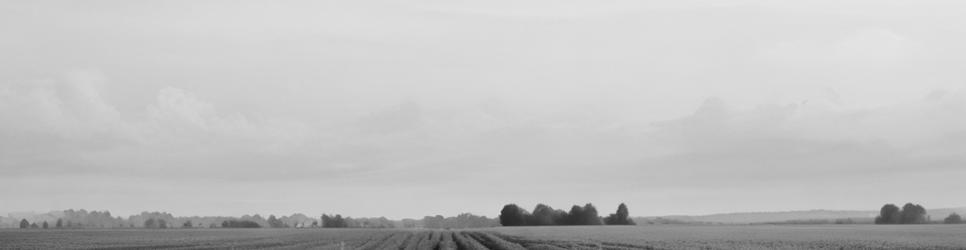 Coonawarra wineries making merlot wines - Localista