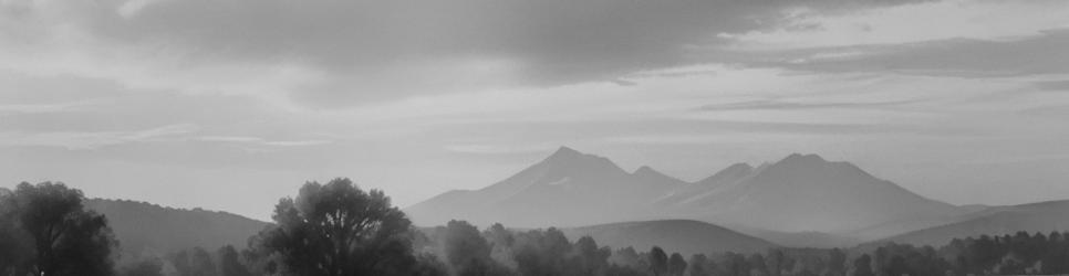 Tasmania wineries making nebbiolo wines - Localista