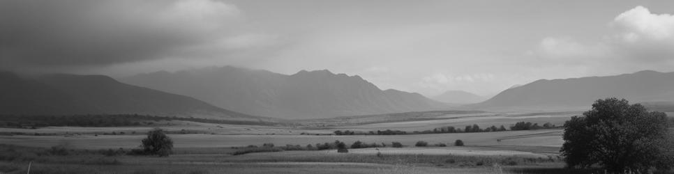 Flinders Island wineries making riesling wines - Localista