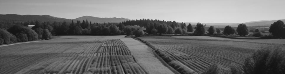 Mornington Peninsula Region wineries making cabernet wines - Localista