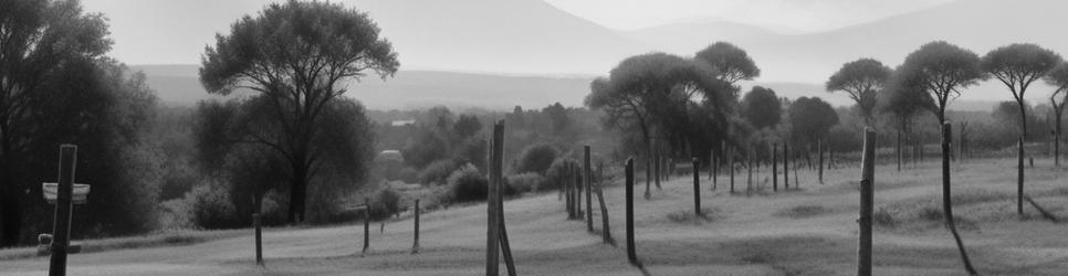 Mornington Peninsula Region wineries making ruby wines - Localista