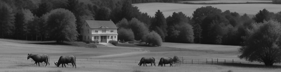 South Gippsland wineries making syrah wines - Localista