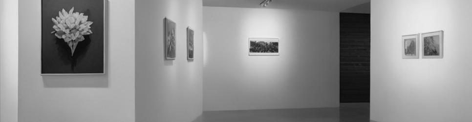 Teneriffe art galleries and exhibitions - Localista