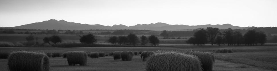 Crowlands wineries making graciano wines - Localista