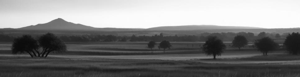 Crowlands wineries making shiraz wines - Localista