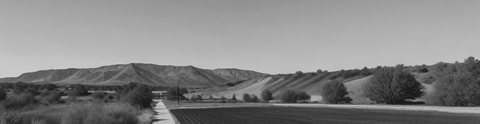 Balnarring wineries making merlot wines - Localista