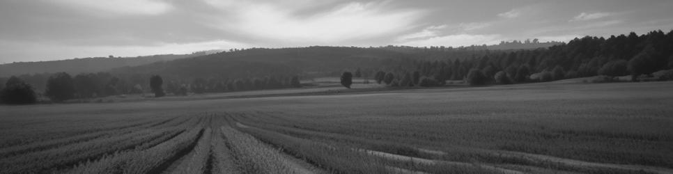 Merricks wineries making sparkling wines - Localista