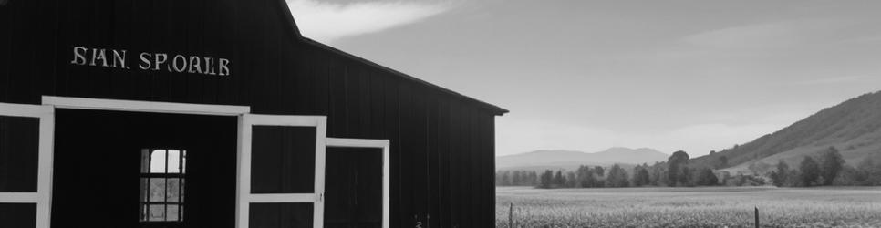 Hawke's Bay wineries making shiraz wines - Localista