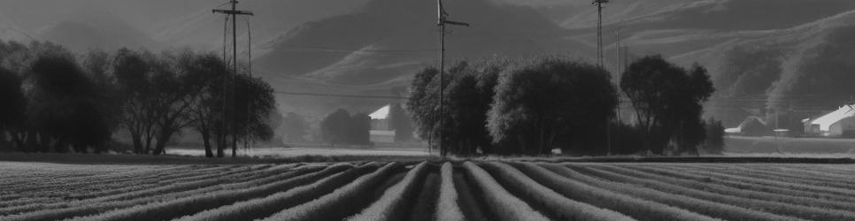 Marlborough wineries making pinot gris wines - Localista