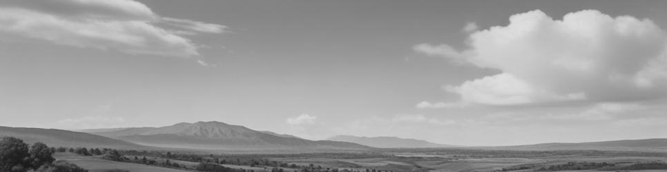 Alexandra wineries making syrah wines - Localista