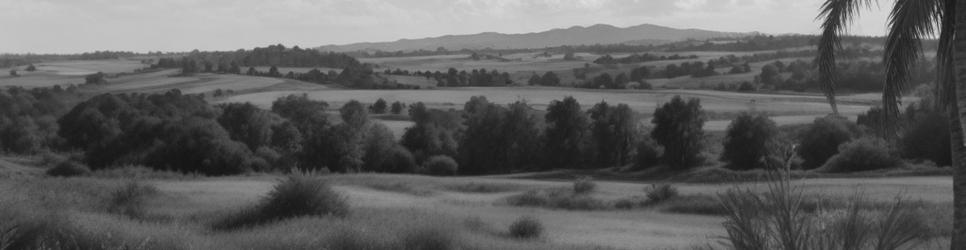 Kaitaia wineries making syrah wines - Localista