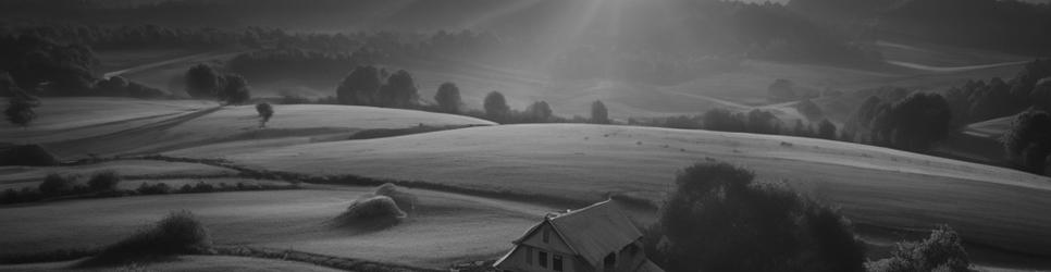 Warkworth wineries making nebbiolo wines - Localista