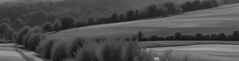 Waiheke Island wineries making malbec wines - Localista