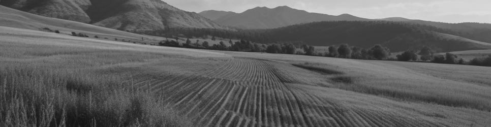 Hawkesbury wineries making riesling wines - Localista