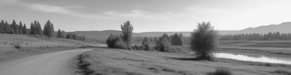 Spring Creek wineries making riesling wines - Localista