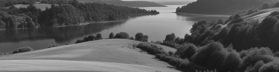 Mangawhai wineries making malbec wines - Localista